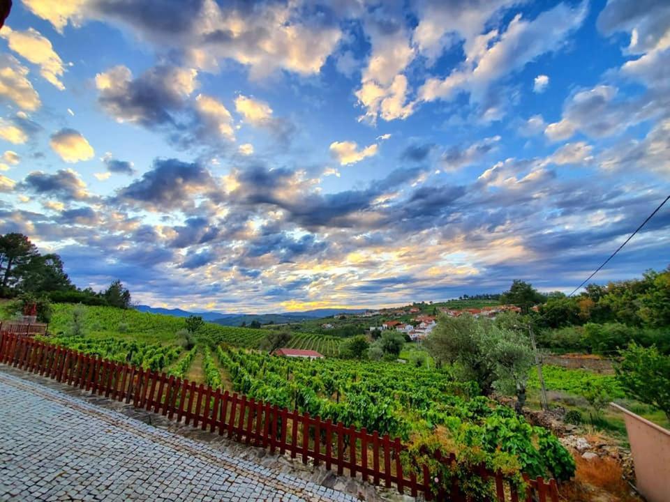 Casa Do Poco - Douro Ξενοδοχείο Peso da Régua Εξωτερικό φωτογραφία