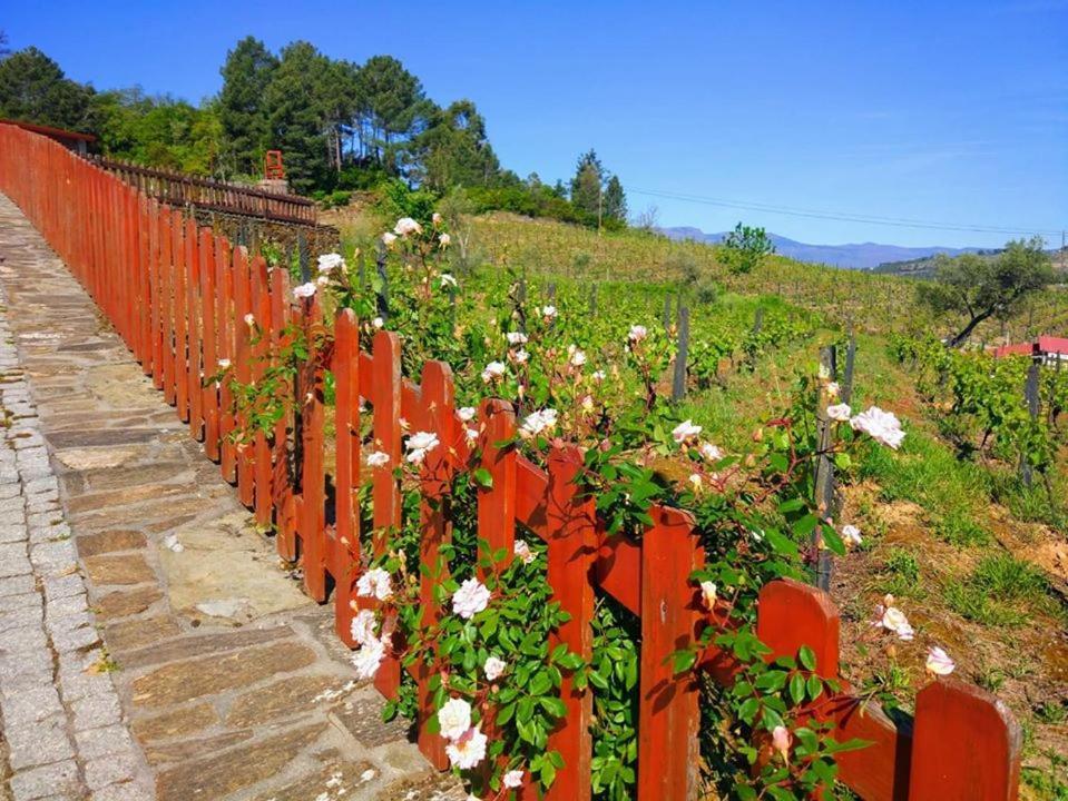 Casa Do Poco - Douro Ξενοδοχείο Peso da Régua Εξωτερικό φωτογραφία