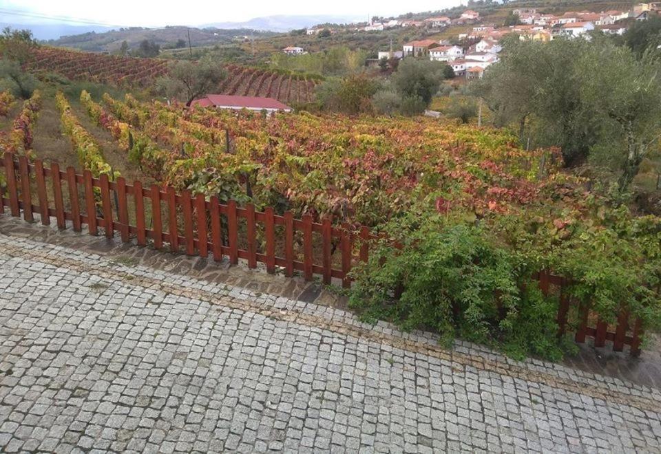 Casa Do Poco - Douro Ξενοδοχείο Peso da Régua Εξωτερικό φωτογραφία