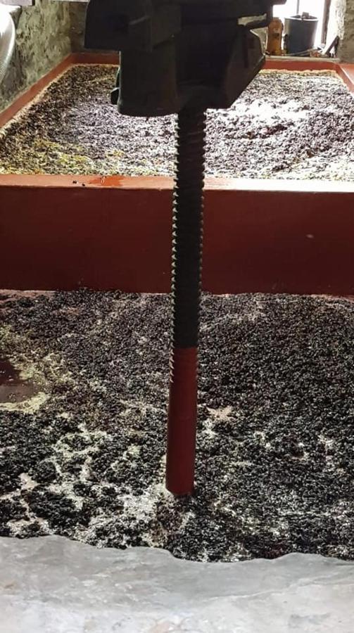 Casa Do Poco - Douro Ξενοδοχείο Peso da Régua Εξωτερικό φωτογραφία